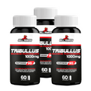 TRIBULUS 1000MG 90% SAPONIN  60CPS - BULL PHARMA - KIT 3UN